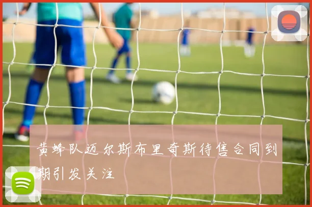 黄蜂队迈尔斯布里奇斯待售合同到期引发关注